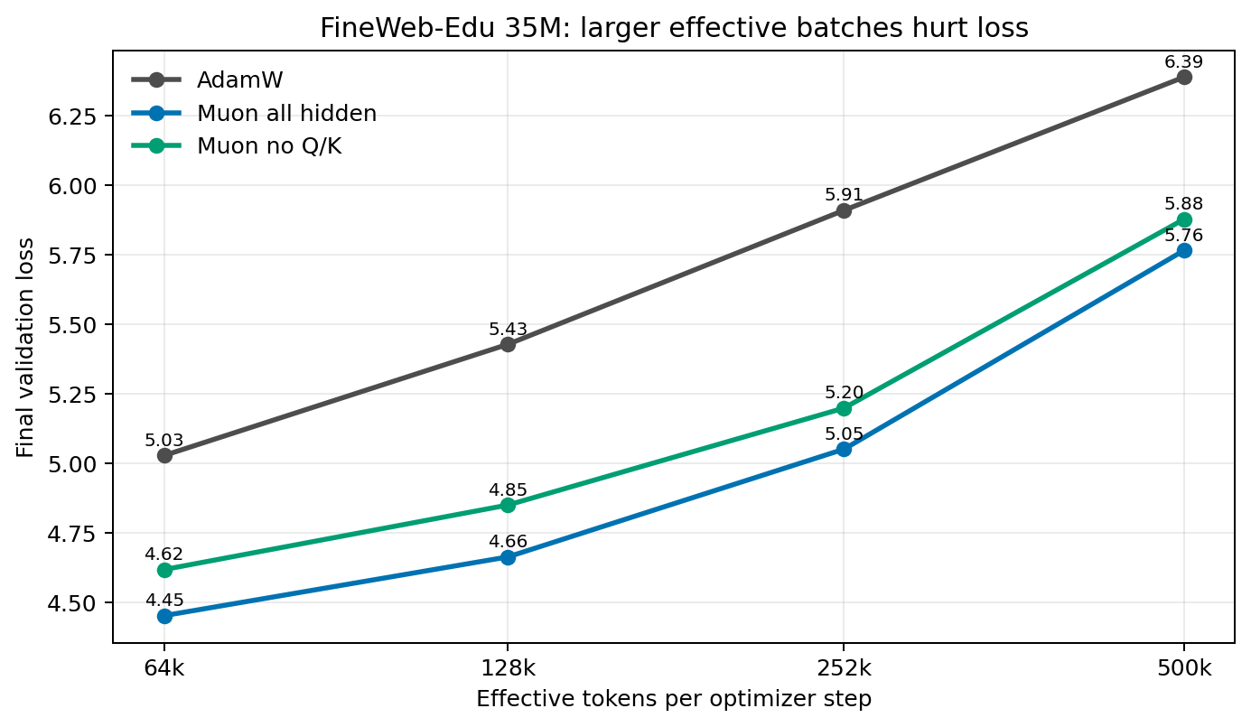 Batch-size sensitivity for Muon and AdamW